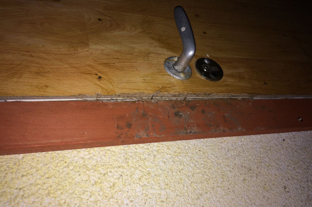 Tygodniowy raport straży miejskiej