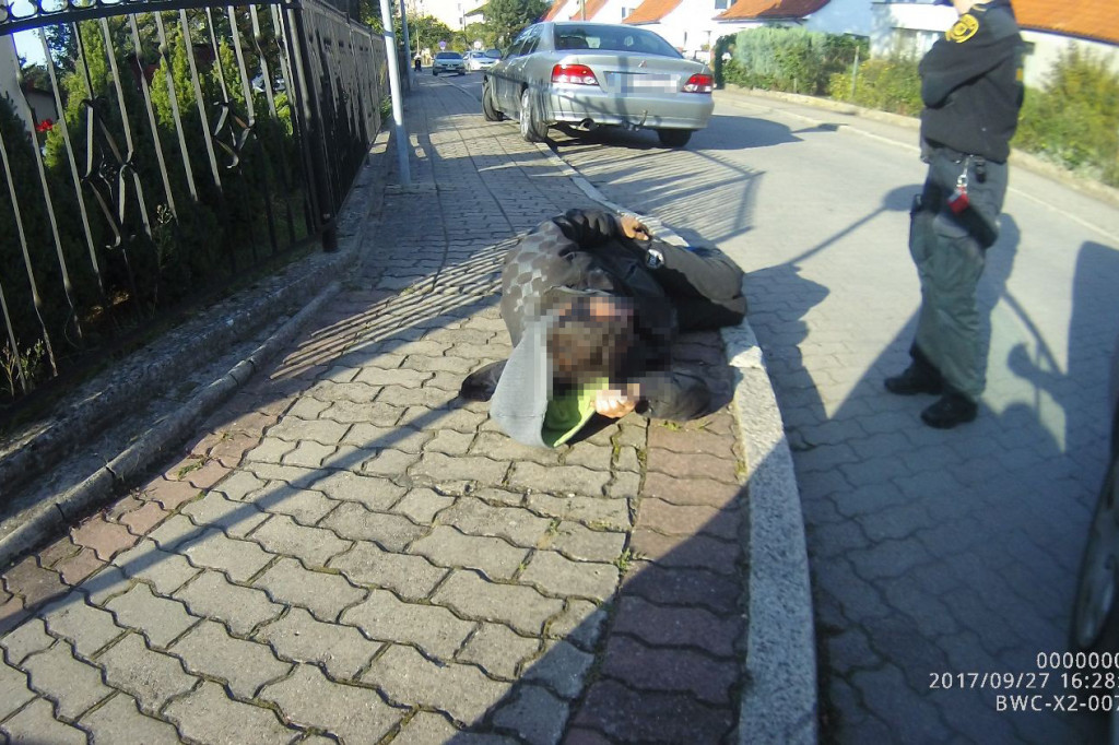 Tygodniowy raport straży miejskiej