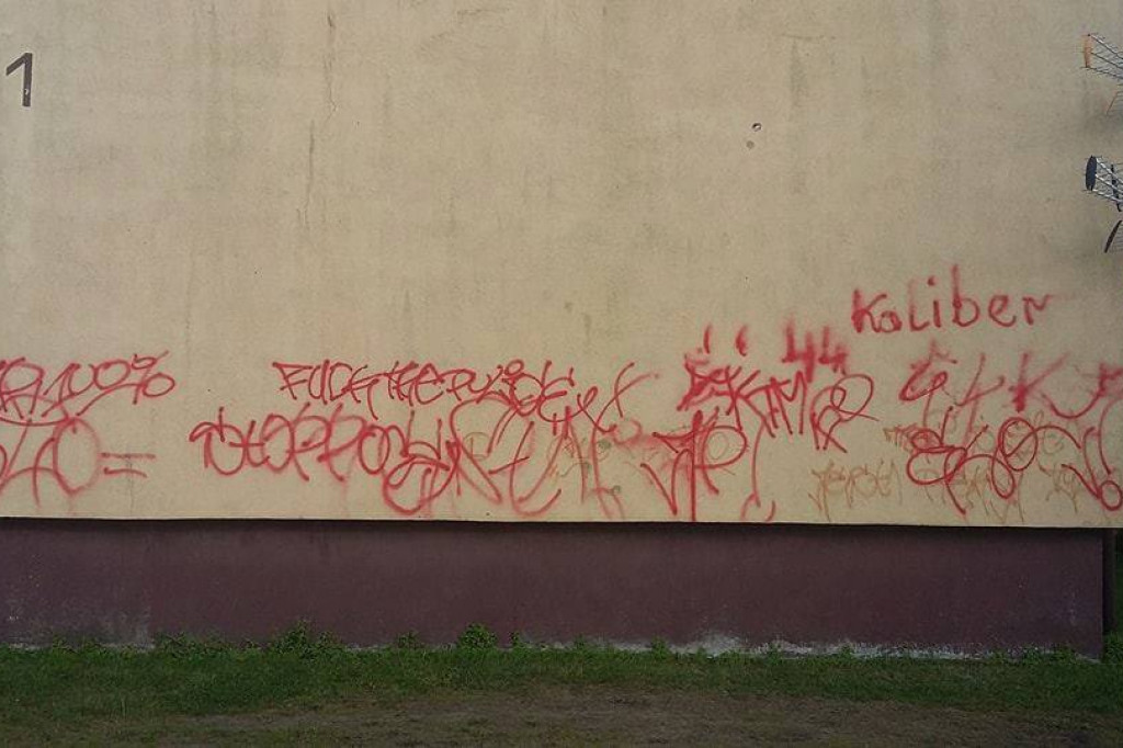 Wandale w Przybrdzie