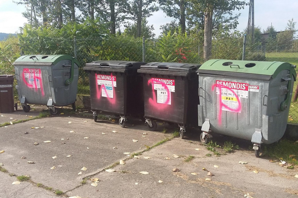 Wandale w Przybrdzie