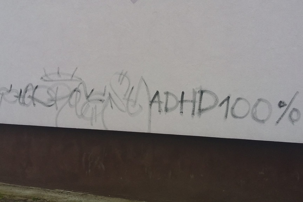 Wandale w Przybrdzie