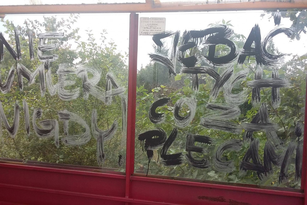 Wandale w Przybrdzie