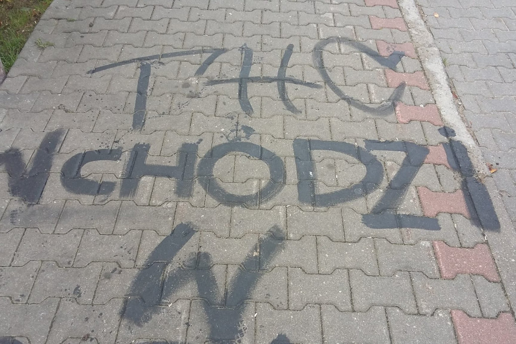 Wandale w Przybrdzie