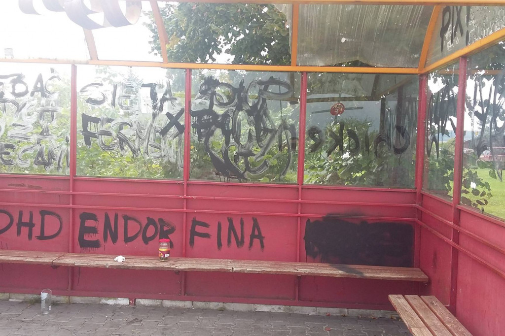 Wandale w Przybrdzie