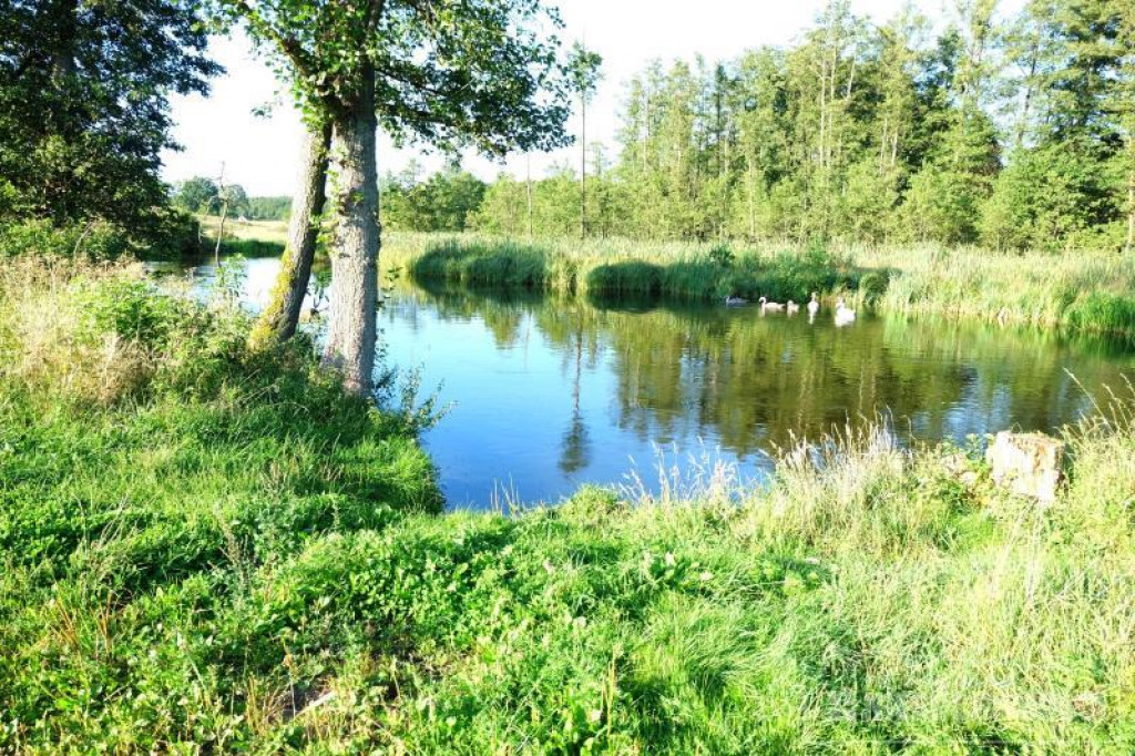 Tanie działki nad rzeką Gwda na sprzedaż! Idealne miejsce dla wędkarzy!