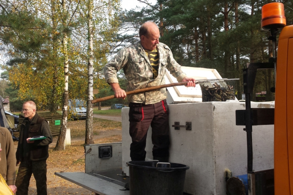 NA RYBY. Zalewy Nadarzyckie zarybione karpiem  i linem.