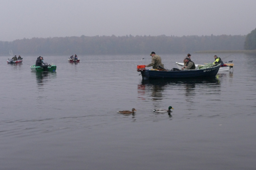 Savage Gear Trophy ? Szczecinek 2017