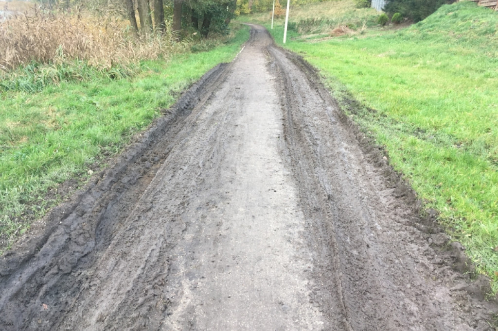 Wycięli drzewa, zniszczyli parkową alejkę