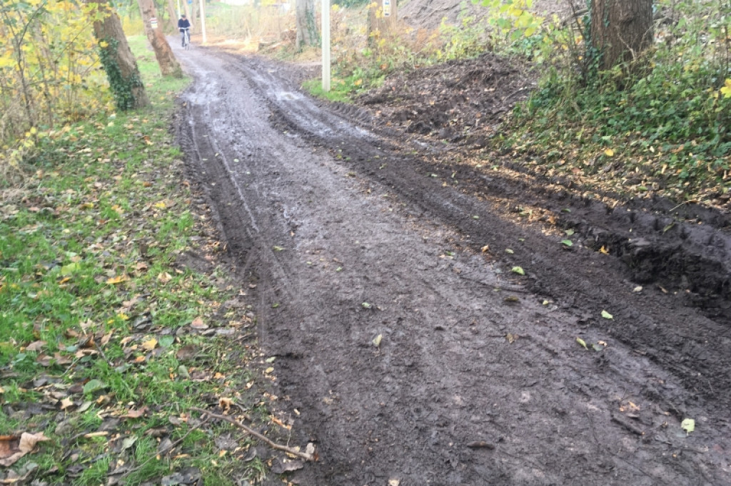 Wycięli drzewa, zniszczyli parkową alejkę