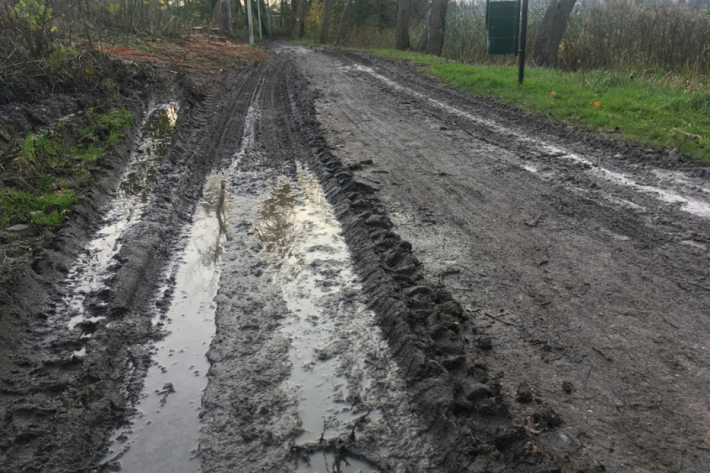 Wycięli drzewa, zniszczyli parkową alejkę