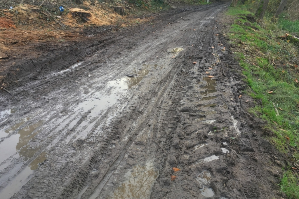 Wycięli drzewa, zniszczyli parkową alejkę