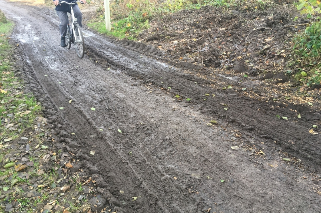 Wycięli drzewa, zniszczyli parkową alejkę