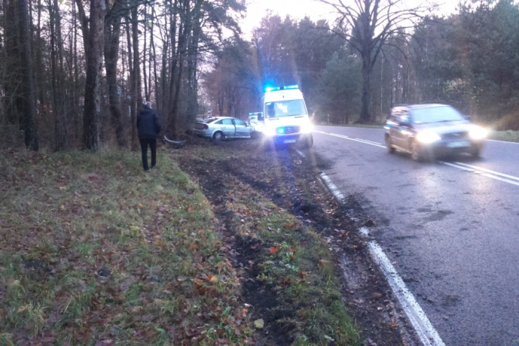 PRZYJEZIERZE. Opel uderzył w drzewo