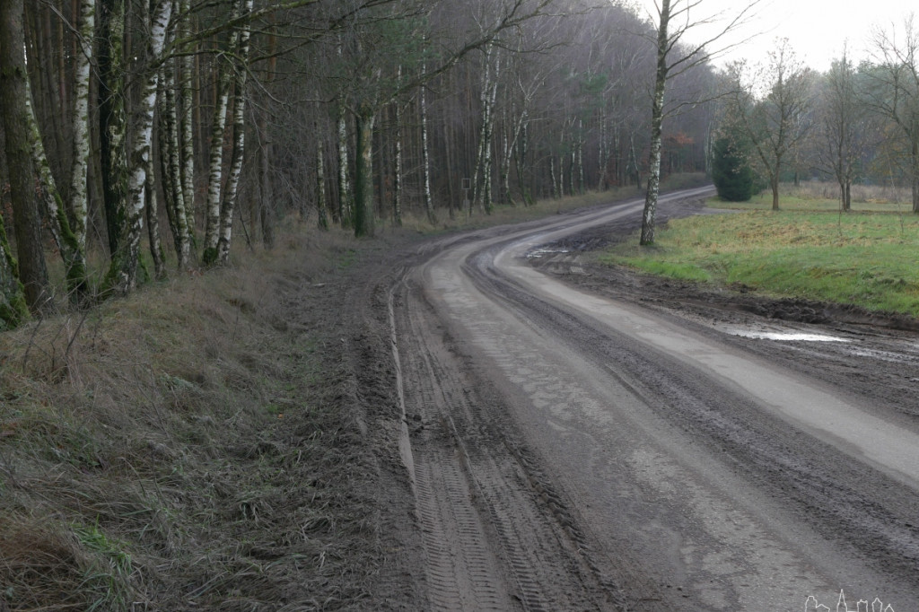 Co się dzieje w Dzikach? Mieszkańcy pytają, wójt odpowiada