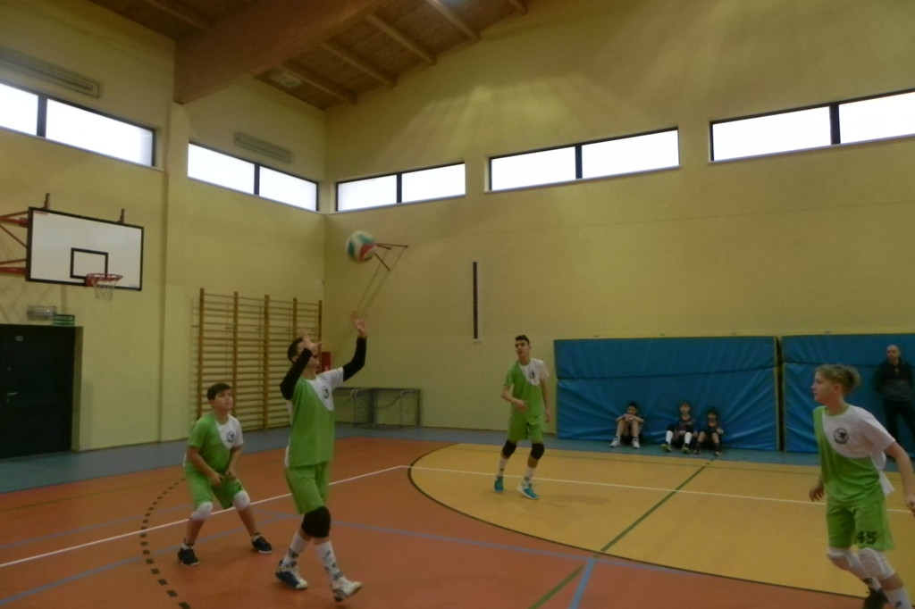 Mini Gryf Cup III