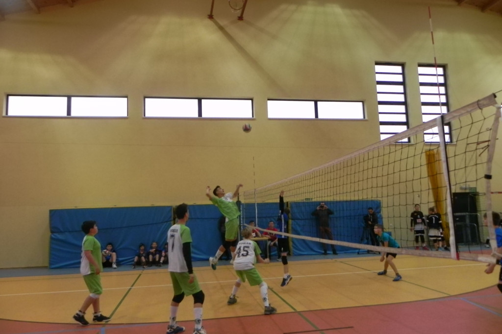 Mini Gryf Cup III