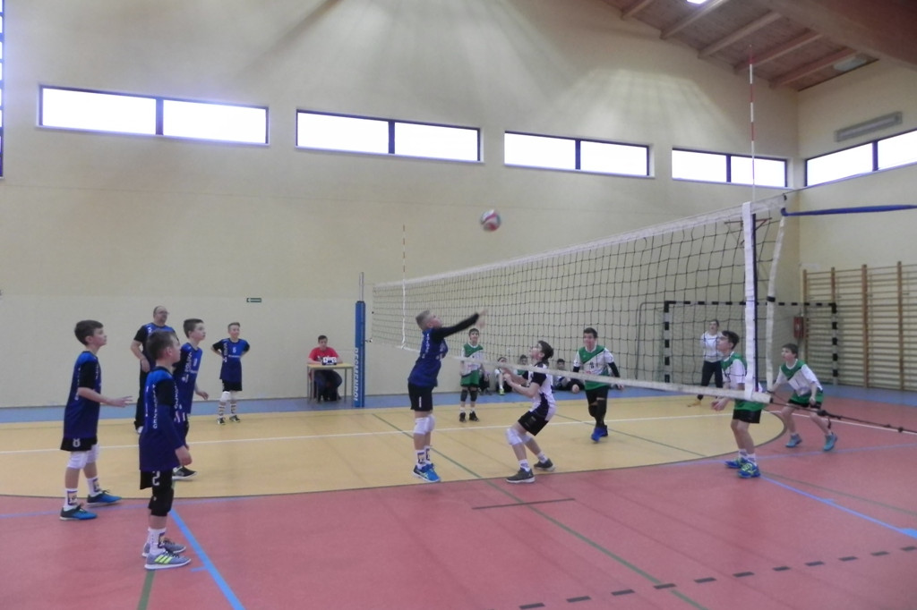 Mini Gryf Cup III