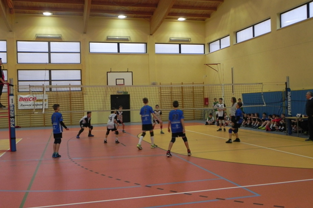 Mini Gryf Cup III