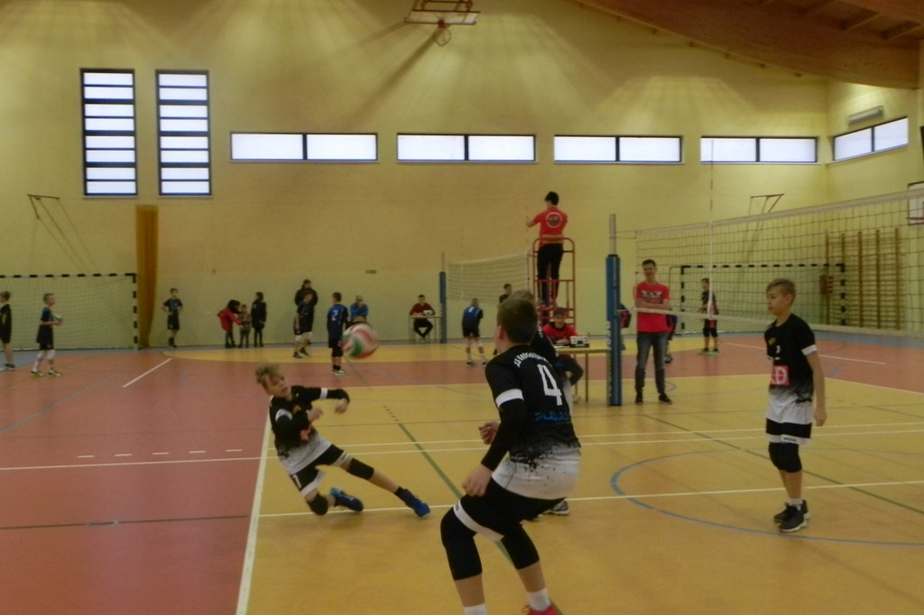 Mini Gryf Cup III