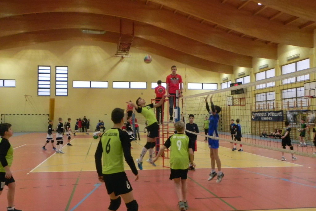 Mini Gryf Cup III