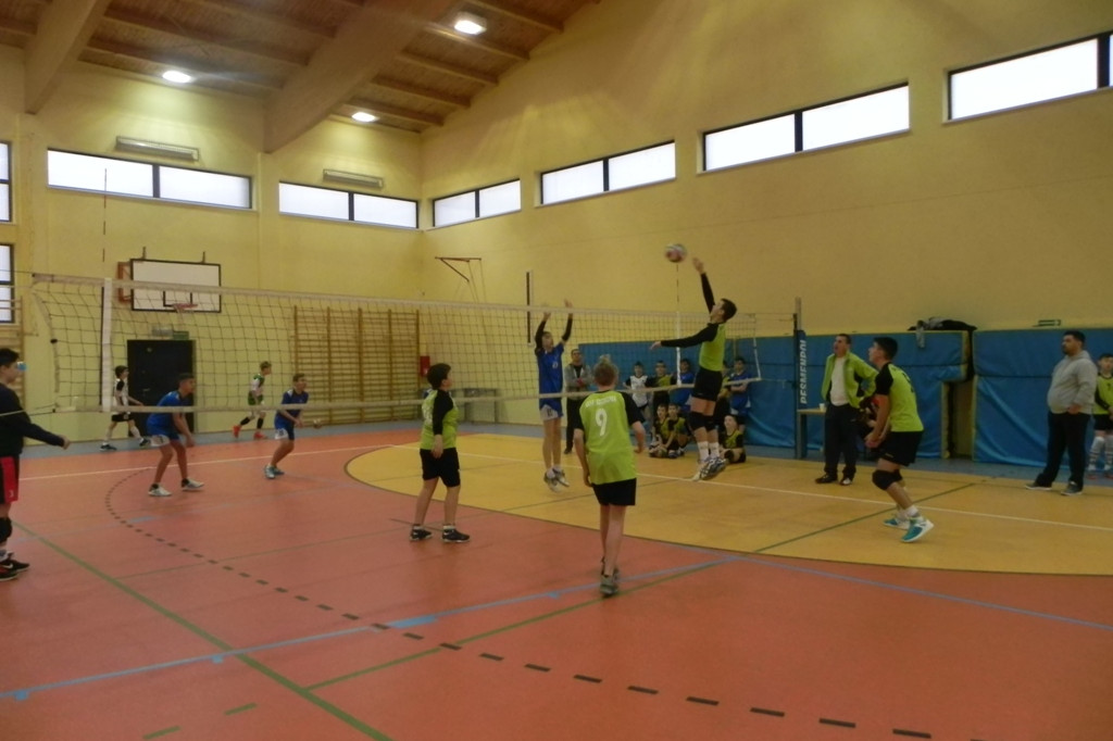 Mini Gryf Cup III