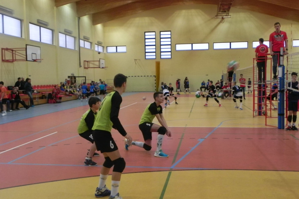 Mini Gryf Cup III