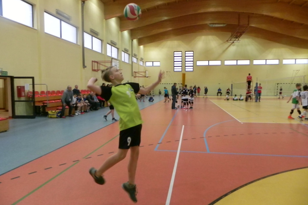 Mini Gryf Cup III