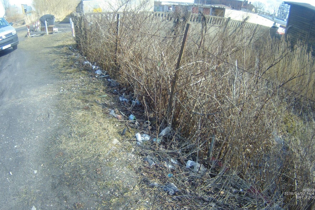 Śmieci na posesjach