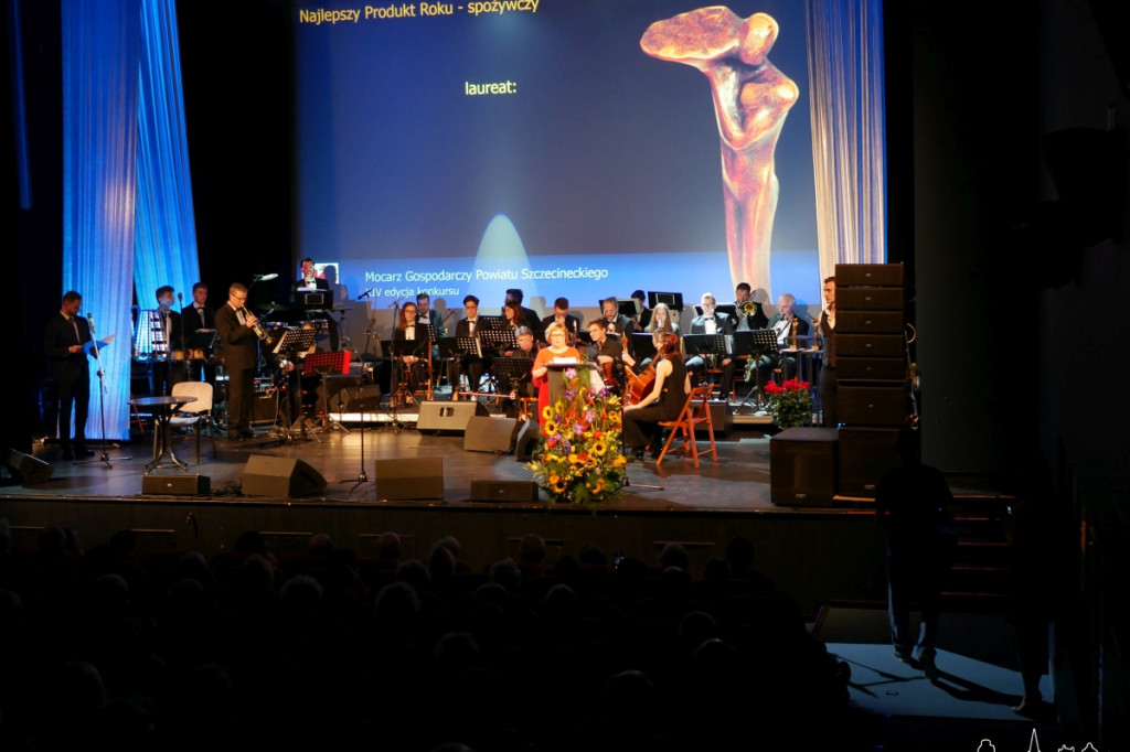 Mocarze Gospodarcze Powiatu Szczecineckiego 2017