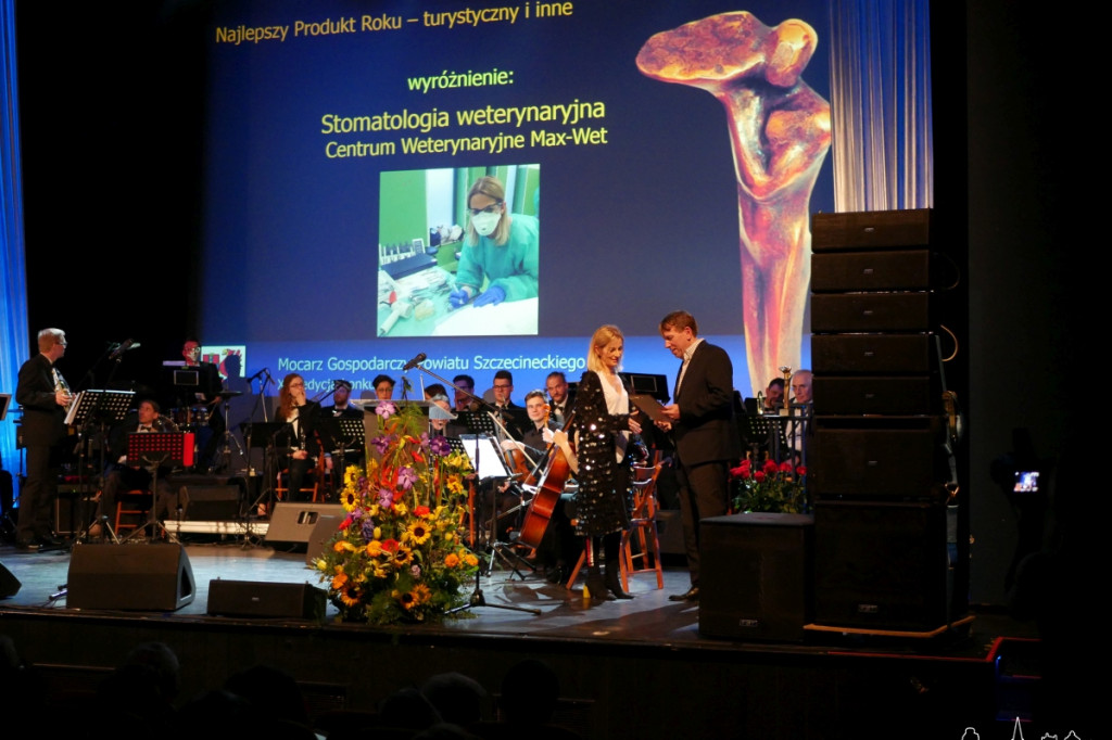 Mocarze Gospodarcze Powiatu Szczecineckiego 2017