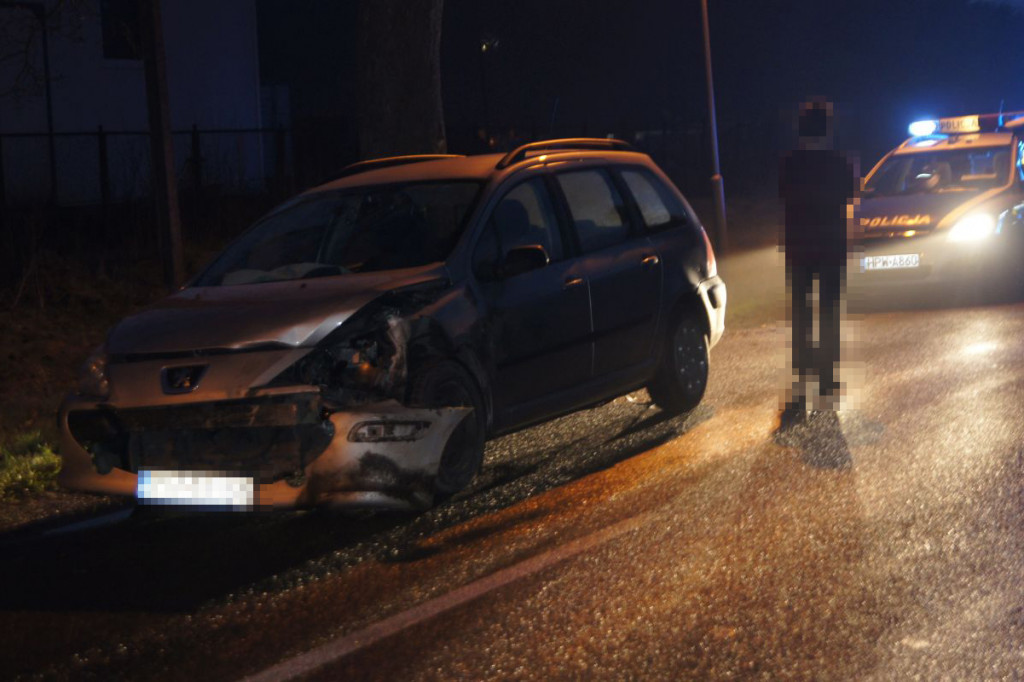 Peugeot zderzył się z dzikiem