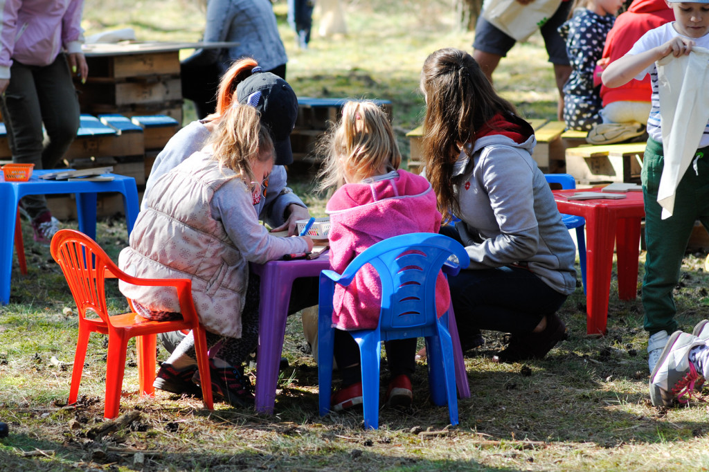 Kronodrzewko, czyli ekologia przez zabawę