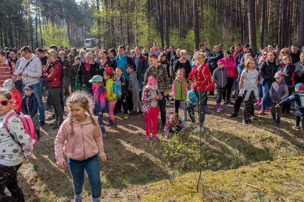 Kronodrzewko, czyli ekologia przez zabawę