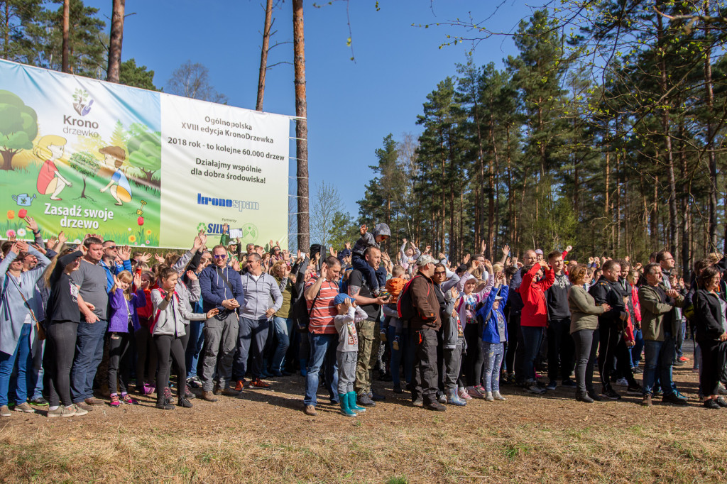 Kronodrzewko, czyli ekologia przez zabawę