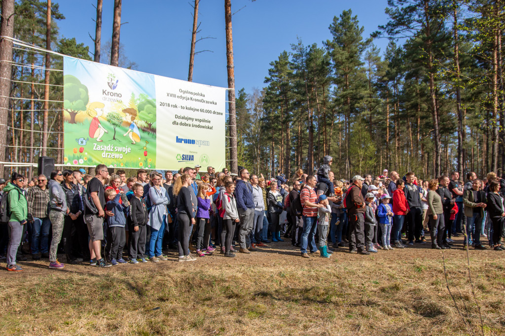 Kronodrzewko, czyli ekologia przez zabawę