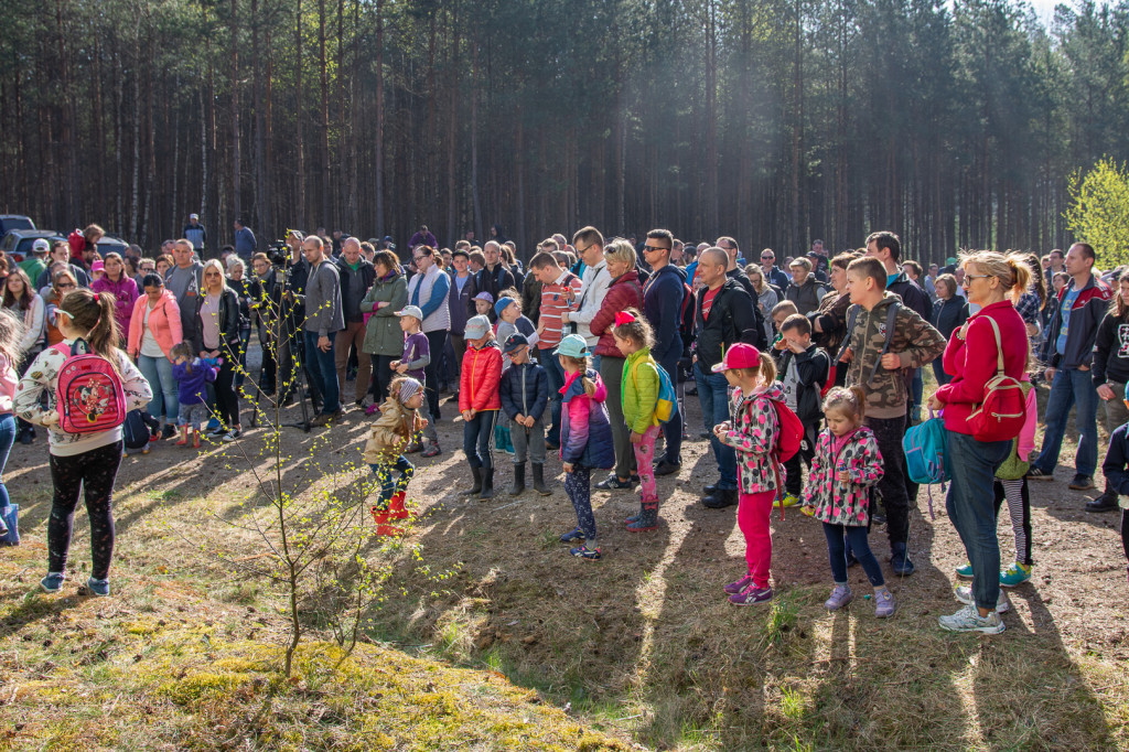Kronodrzewko, czyli ekologia przez zabawę