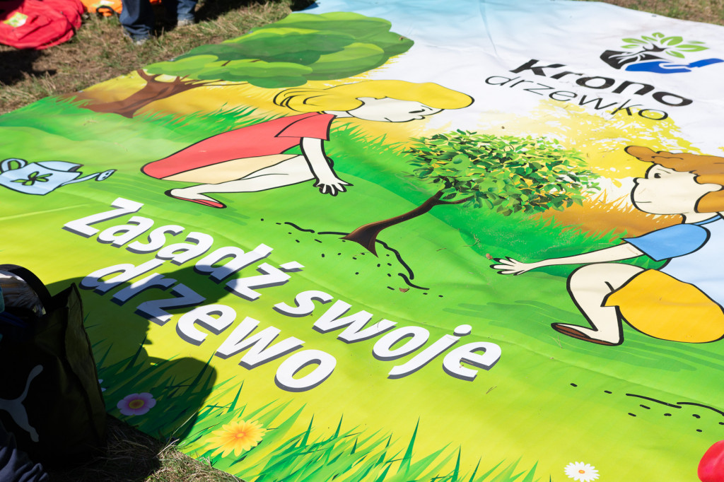 Kronodrzewko, czyli ekologia przez zabawę