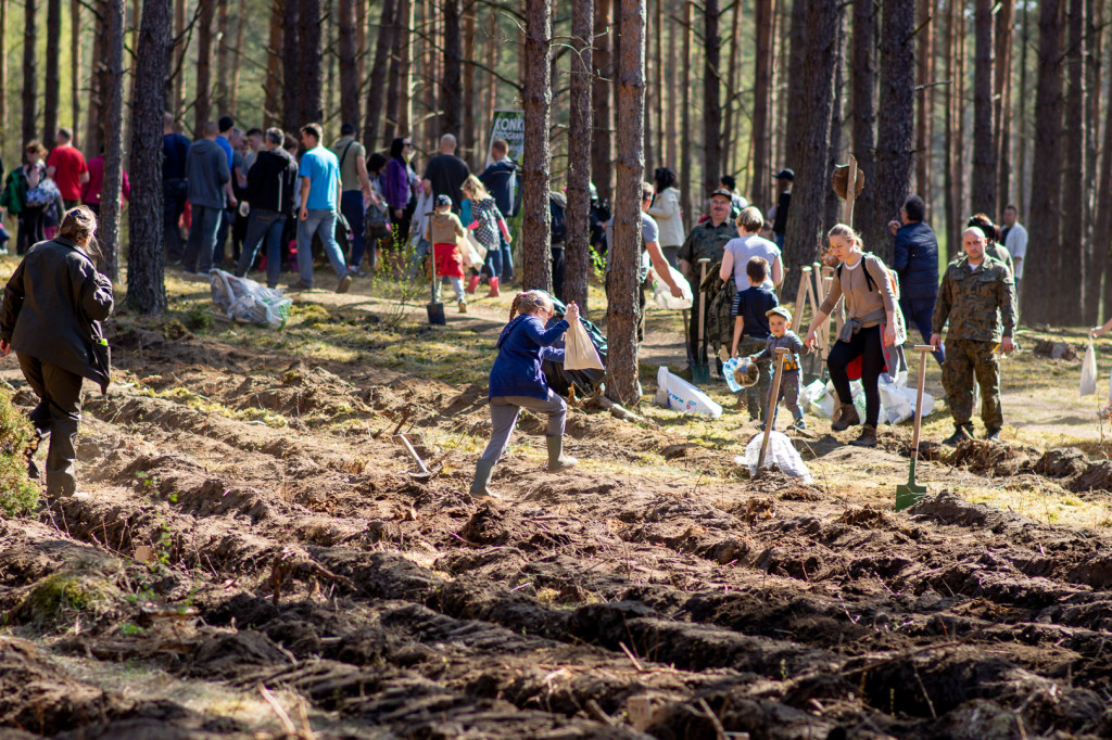 Kronodrzewko, czyli ekologia przez zabawę