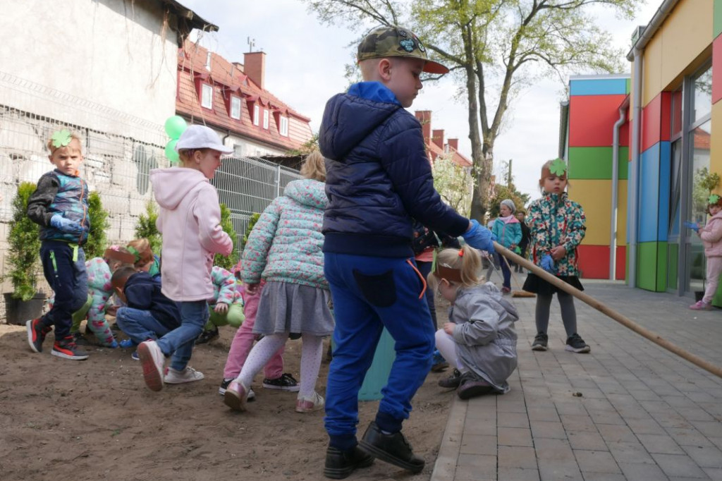 Dzieci z przedszkola Miś posadziły drzewka