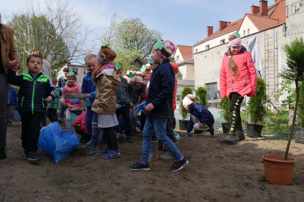 Dzieci z przedszkola Miś posadziły drzewka