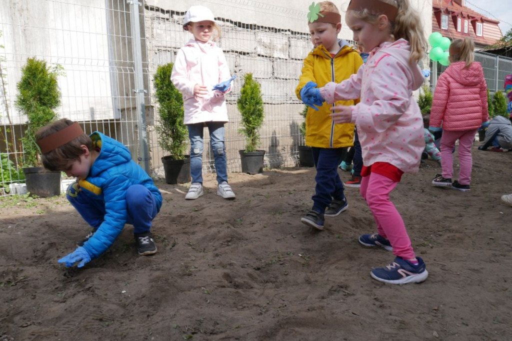Dzieci z przedszkola Miś posadziły drzewka
