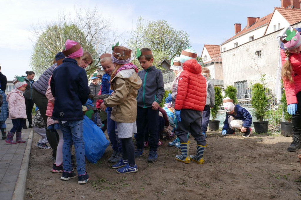 Dzieci z przedszkola Miś posadziły drzewka
