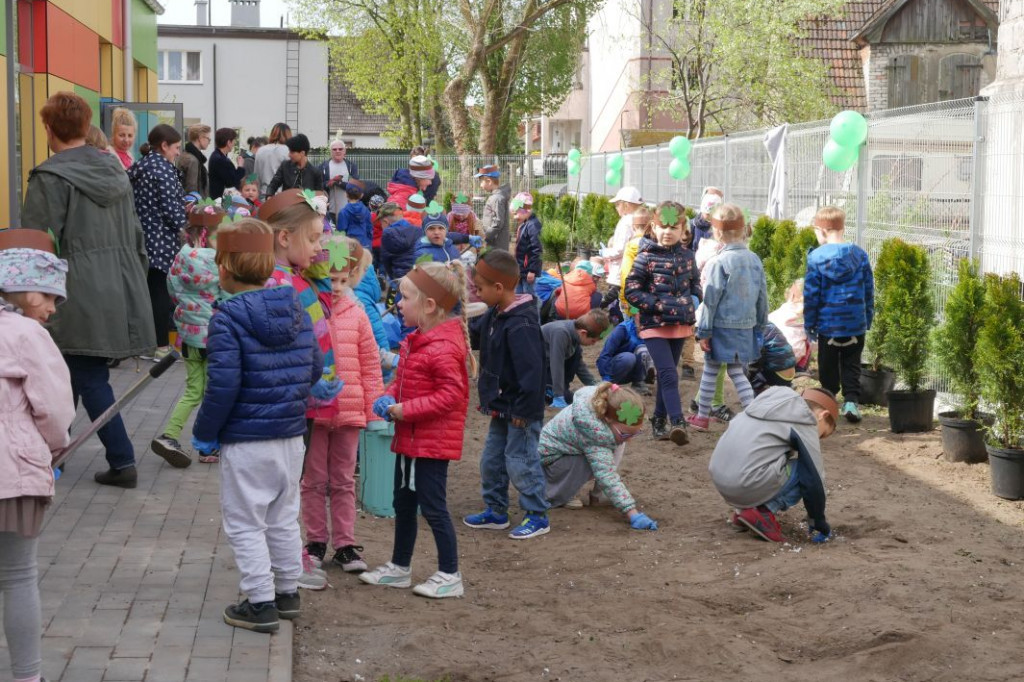 Dzieci z przedszkola Miś posadziły drzewka