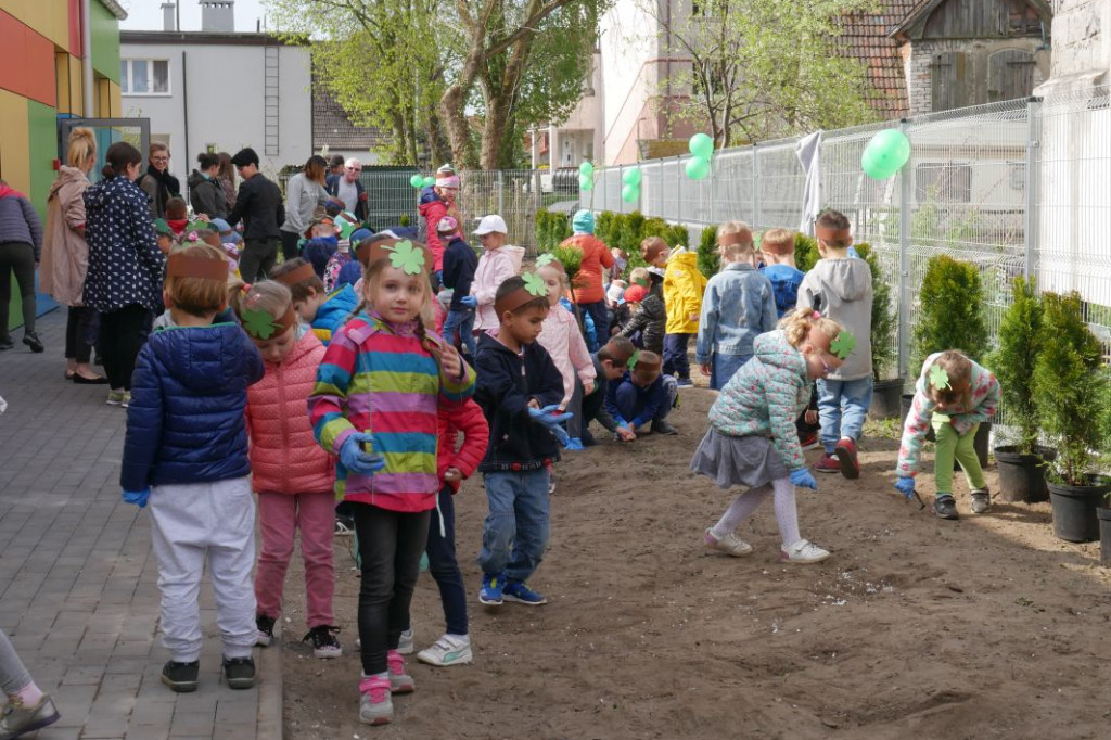 Dzieci z przedszkola Miś posadziły drzewka