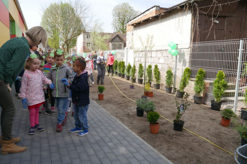 Dzieci z przedszkola Miś posadziły drzewka