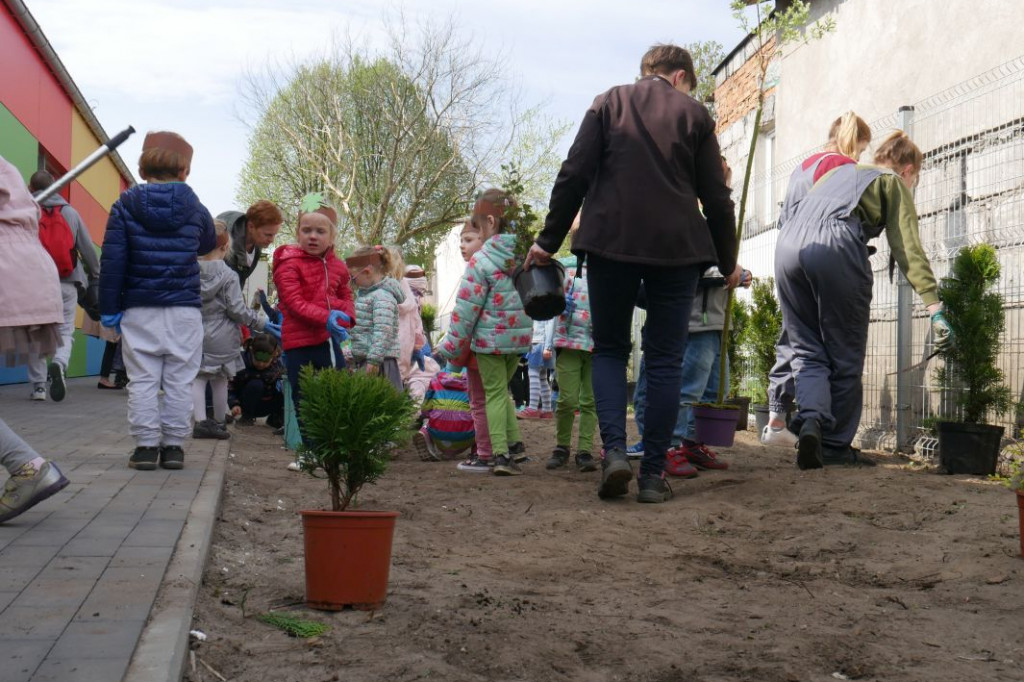 Dzieci z przedszkola Miś posadziły drzewka