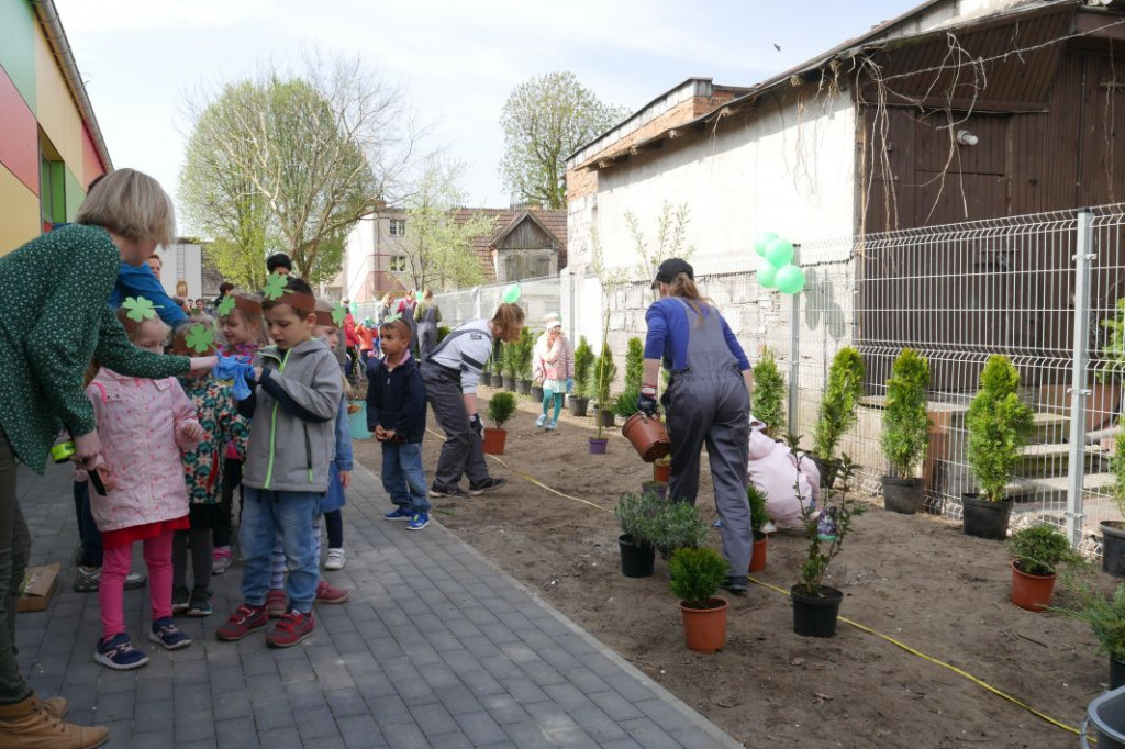 Dzieci z przedszkola Miś posadziły drzewka