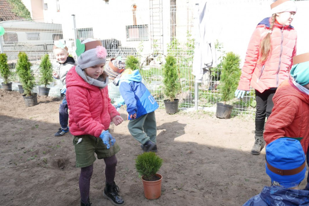 Dzieci z przedszkola Miś posadziły drzewka