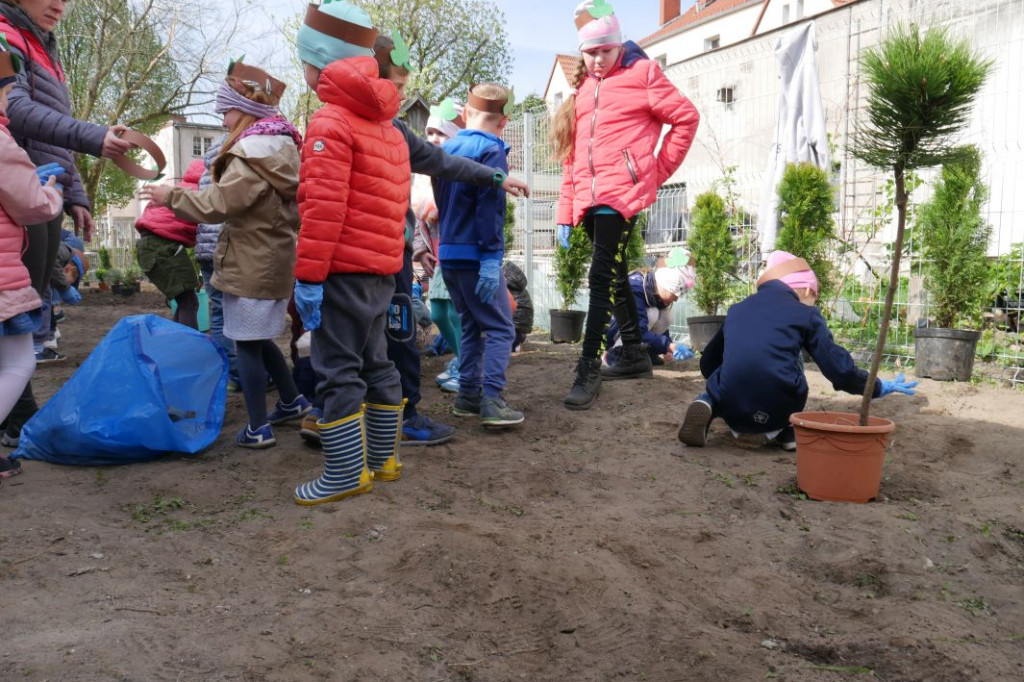 Dzieci z przedszkola Miś posadziły drzewka