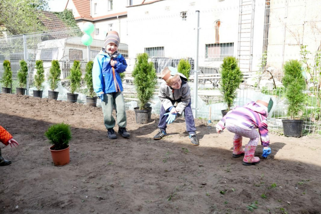 Dzieci z przedszkola Miś posadziły drzewka